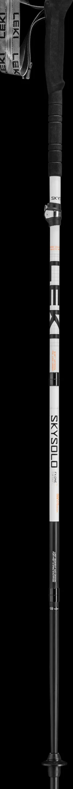LEKI Skysolo FX.One Carbon