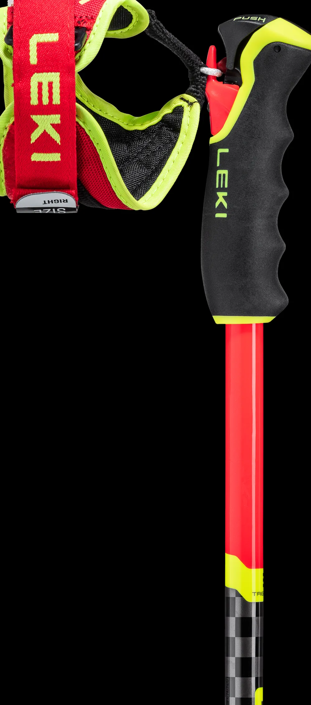 LEKI WCR GS Carbon 3D