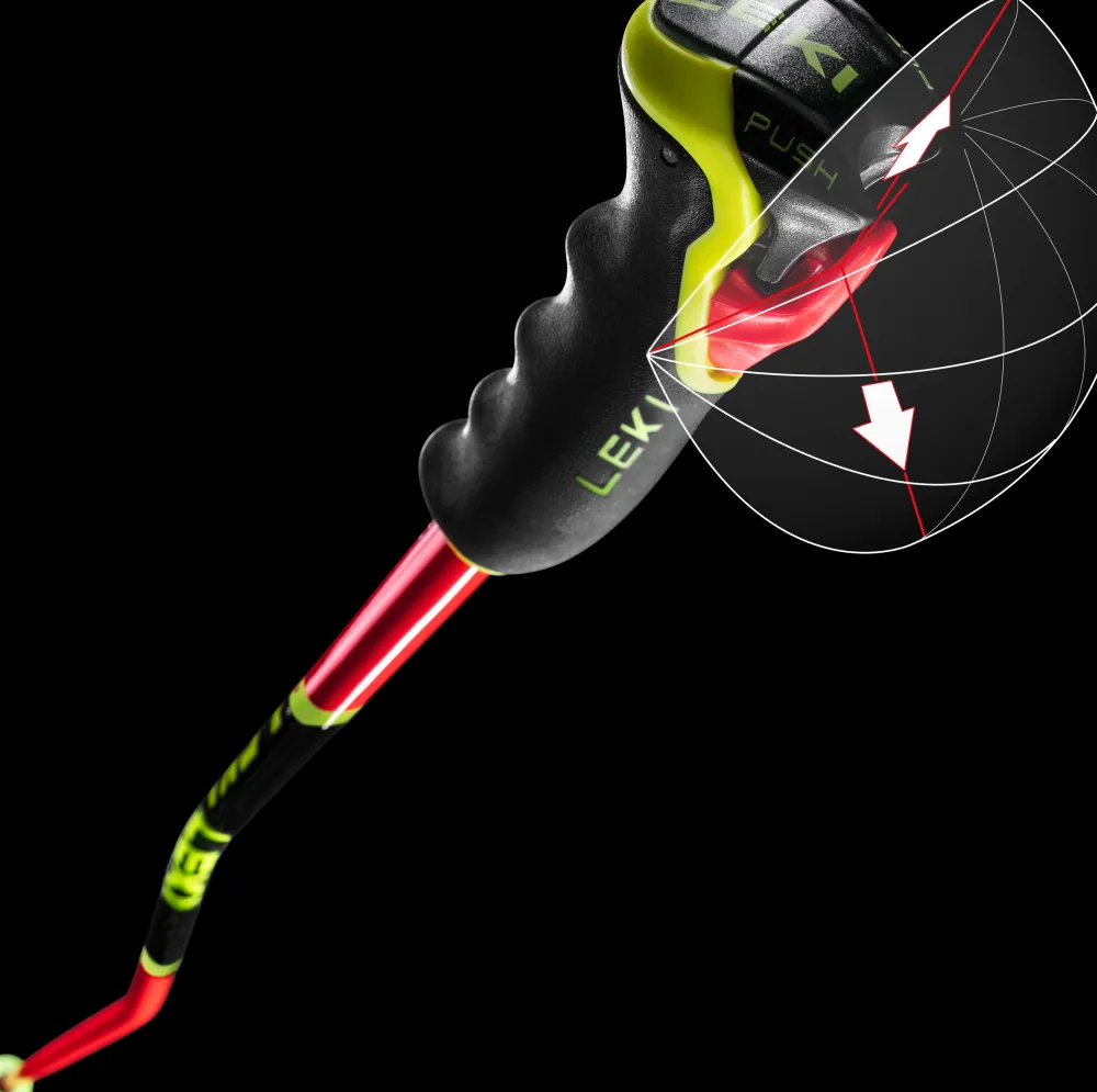 LEKI WCR GS Carbon 3D